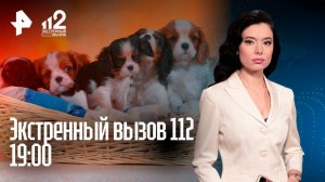 Продажа больных щенков / Драка во время съемки / Подростки инсценировали похищение / 112