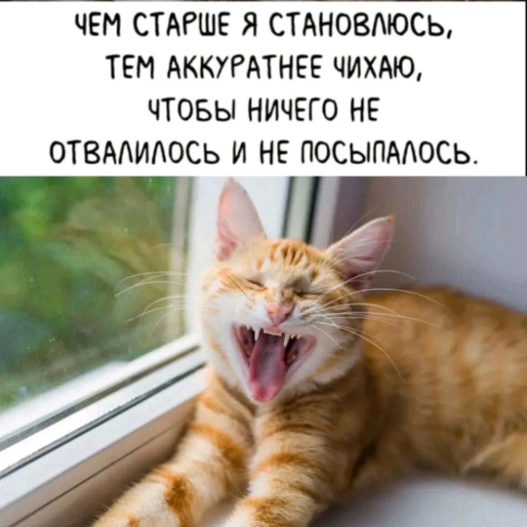 просто стрим смотреть онлайн