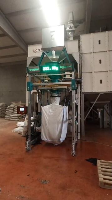 загрузка Биг бегов