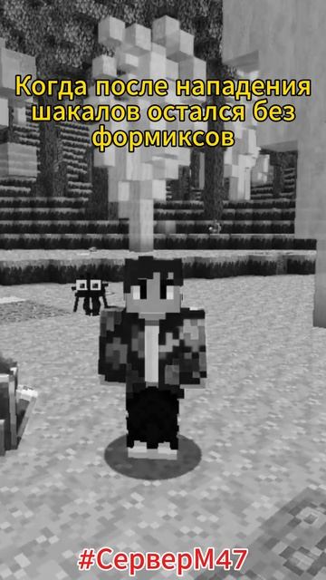 Мем #minecraft #СерверМ47