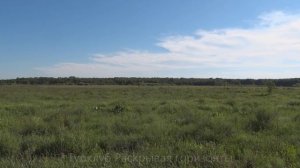 Раскрывая горизонты. Озеро Попово