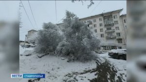 «Вести. Ставропольский край» 4.03.2026 (11.30)