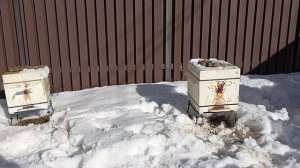 04.03.2026 г. Ленинградская область.