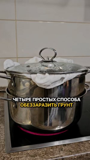 Простые способы обеззаразить грунт.