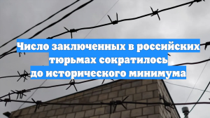Число заключенных в российских тюрьмах сократилось до исторического минимума