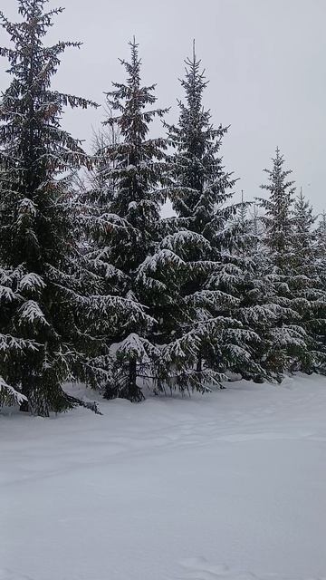 Пора уж повернуться к МАРТУ!!!