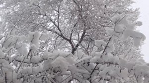 Погода в Кисловодске сегодня 4 марта.Выпал снег!