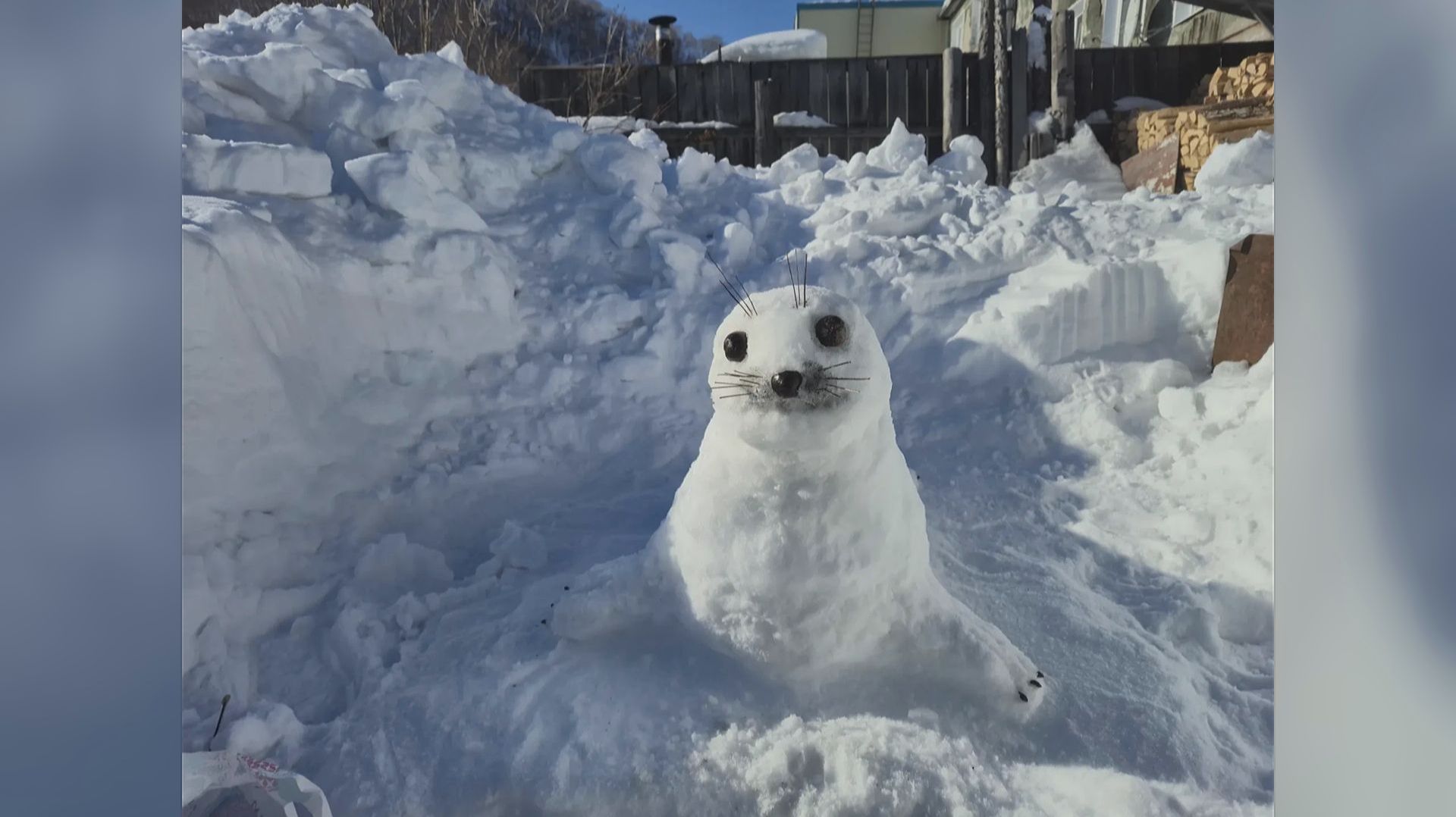 СНЕЖНЫЕ ЗВЕРИ И ПТИЦЫ