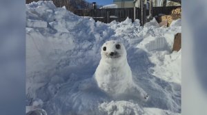 СНЕЖНЫЕ ЗВЕРИ И ПТИЦЫ