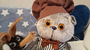 КОТ БАСИК. Волнующее путешествие на кухню