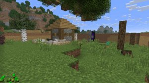 Разговариваем по компам и играем в майнкрафт 4