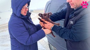 Мы купили ЧЕБУРАШКУ!