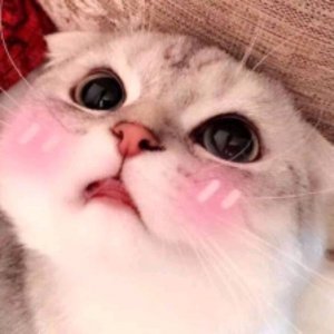 станцую под любую песню