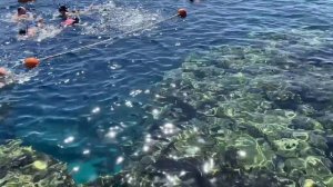 Египет и Израиль. Февраль 2026