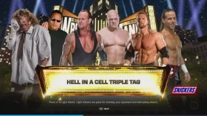 WWE Hell in Cell The Brothers of Destuction vs D-X vs The Rock n Sock