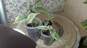 Излишки Почтой Бронирую