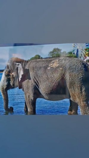 Владивосток Приморский край Российская Федерация