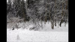 Зима ушла! Кто рад?