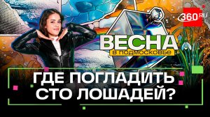 Сто лошадей, ложки и авто Сталина: гид по Солнечногорску. Весна в Подмосковье. Мохаммад