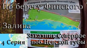 По берегу Финского залива. От ЗСД до Сестрорецка! 4 Серия