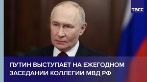 Путин выступает на ежегодном заседании коллегии МВД РФ