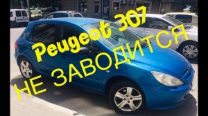 Пежо 307 не заводится Решение