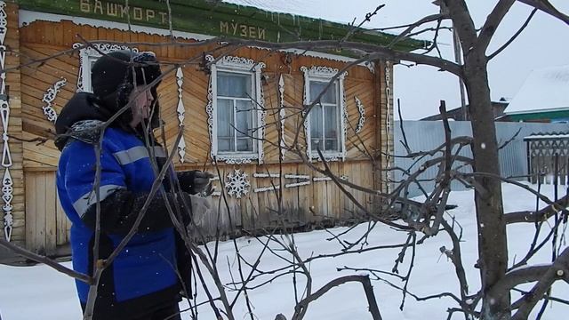 Обрезка яблоню сад
