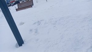 Вышел второй раз погулять за день. И поговорим о том как менялся район