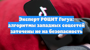 Эксперт РОЦИТ Гогуа: алгоритмы западных соцсетей заточены не на безопасность