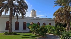 Мечеть в роскошных пальмах!