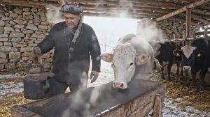 Жизнь в Афганистане.