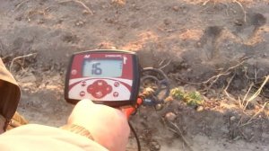 Коп с металлоискателем minelab x-terra 305