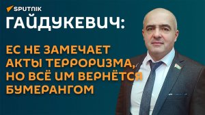 Гайдукевич: ЕС не замечает акты терроризма, но всё им вернётся бумерангом