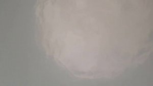 VARIOUS ITEMS FROZEN IN LIQUID NITROGEN