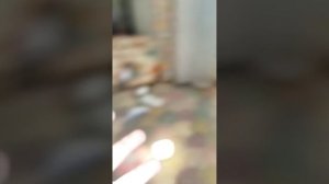 МОЙ ПЕРВЫЙ ПРОЕКТ