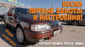 Весна. Первые заботы и настроения