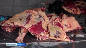 Юртбоахама ярмаркаш д1ахьоргья Г1алг1айчен шахьарашка  мархий бутт чакхбаллалца