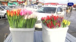 «ПРАЗДНИЧНАЯ»