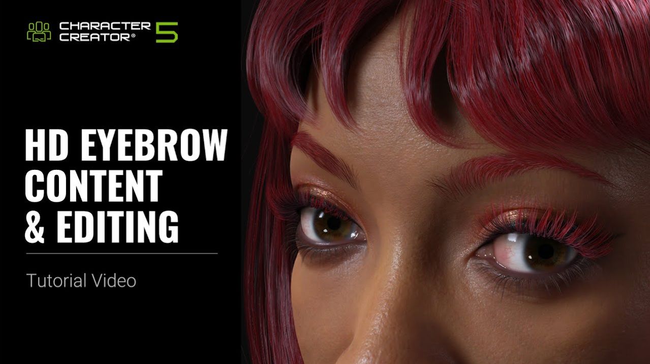 HD-брови в Character Creator 5 — выразительность взгляда одним кликом!