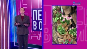 Петербург в один клик. Утка-фигуристка, первые подснежники и любители контролировать вес