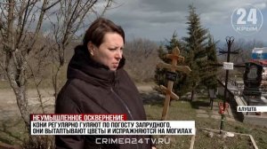 На кладбище под Алуштой лошади испражняются и топчут цветы на могилах