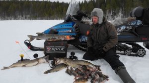 О ТАКИХ РЫБАЛКАХ УМАЛЧИВАЮТ. ПОЙМАЛ КРУПНЫХ ЩУК И ОГРОМНЫХ ОКУНЕЙ