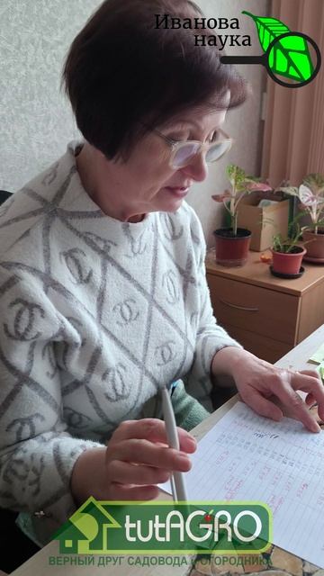 Когда сеять томаты? Золотые правила от агронома с 40-летним стажем. Хватит сеять томат слишком рано!