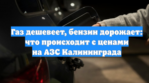 Газ дешевеет, бензин дорожает: что происходит с ценами на АЗС Калининграда