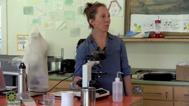 Оценка состояния почвы с помощью микроскопа. Сестра Мередит Ли. Часть 2