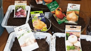 04.03.26 Сею много лука.Мой хитрый способ полива рассады лука.