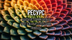 НЕЖНОСТЬ: Разреши себе быть слабой, мягкой и принимать заботу