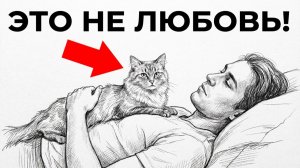 ПОЧЕМУ КОШКИ ВДРУГ ЗАЛЕЗАЮТ НА ВАС ПРИЧИНА ШОКИРУЕТ!