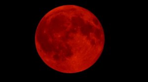 «Кровавую Луну» увидели все жители Земли этой ночью