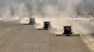 Аграрии Волгоградской области выходят в поле